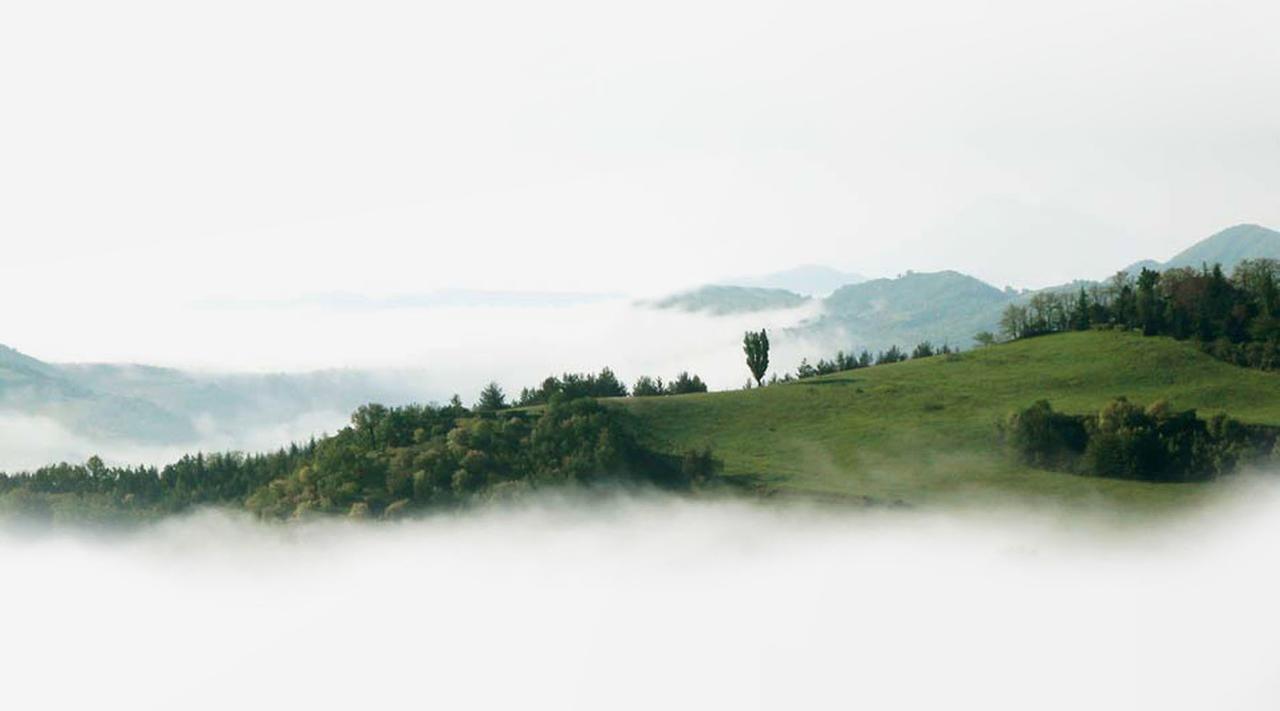 Colleverde Country House & Spa Urbino Exteriör bild